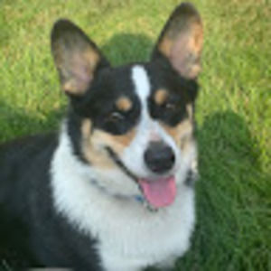 Meet your Posher, Austin